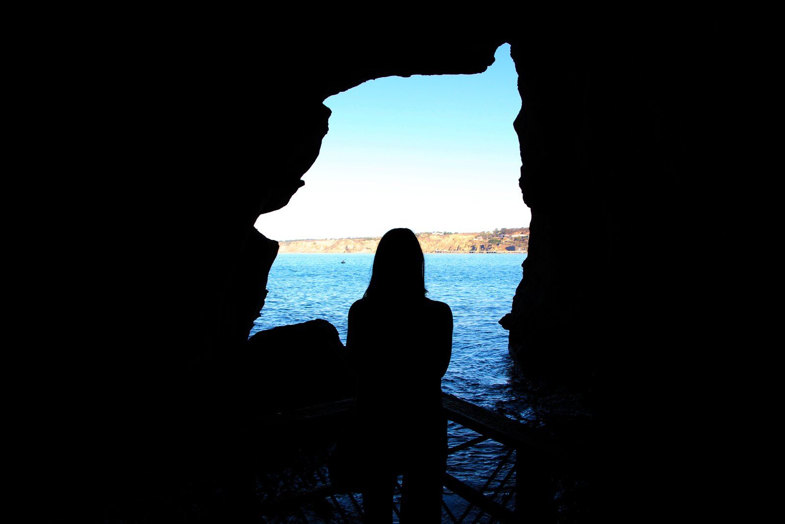san diego sea lions sunny jims cave