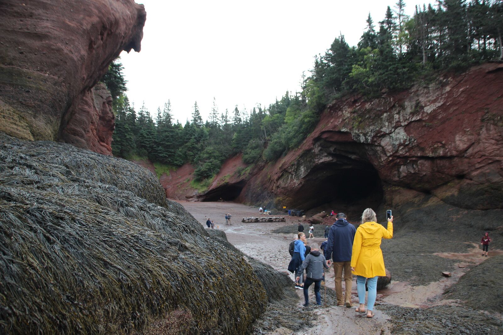 view of the sea cave and dinner table - dining on the ocean floor with people in the foreground