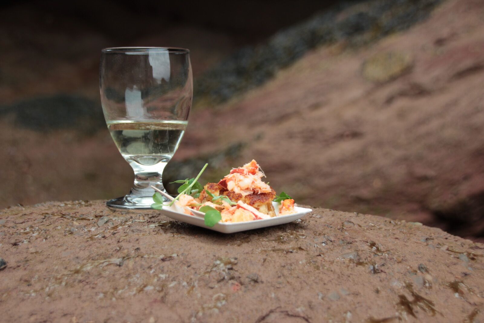 wine and lobster cake-savour the sea caves (10)