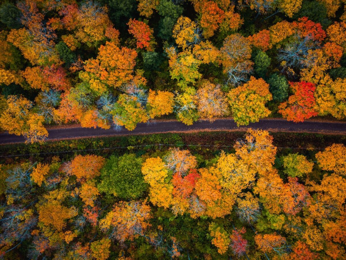 The Best Fall Road Trips in the US for 2022