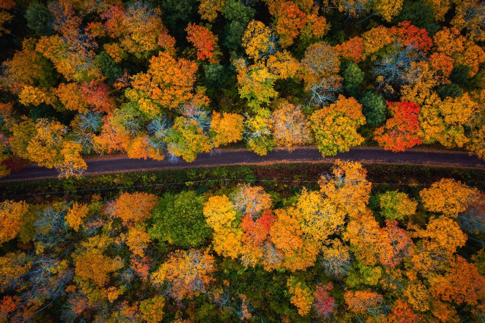Upper Michigan one of the best fall road trips in the US