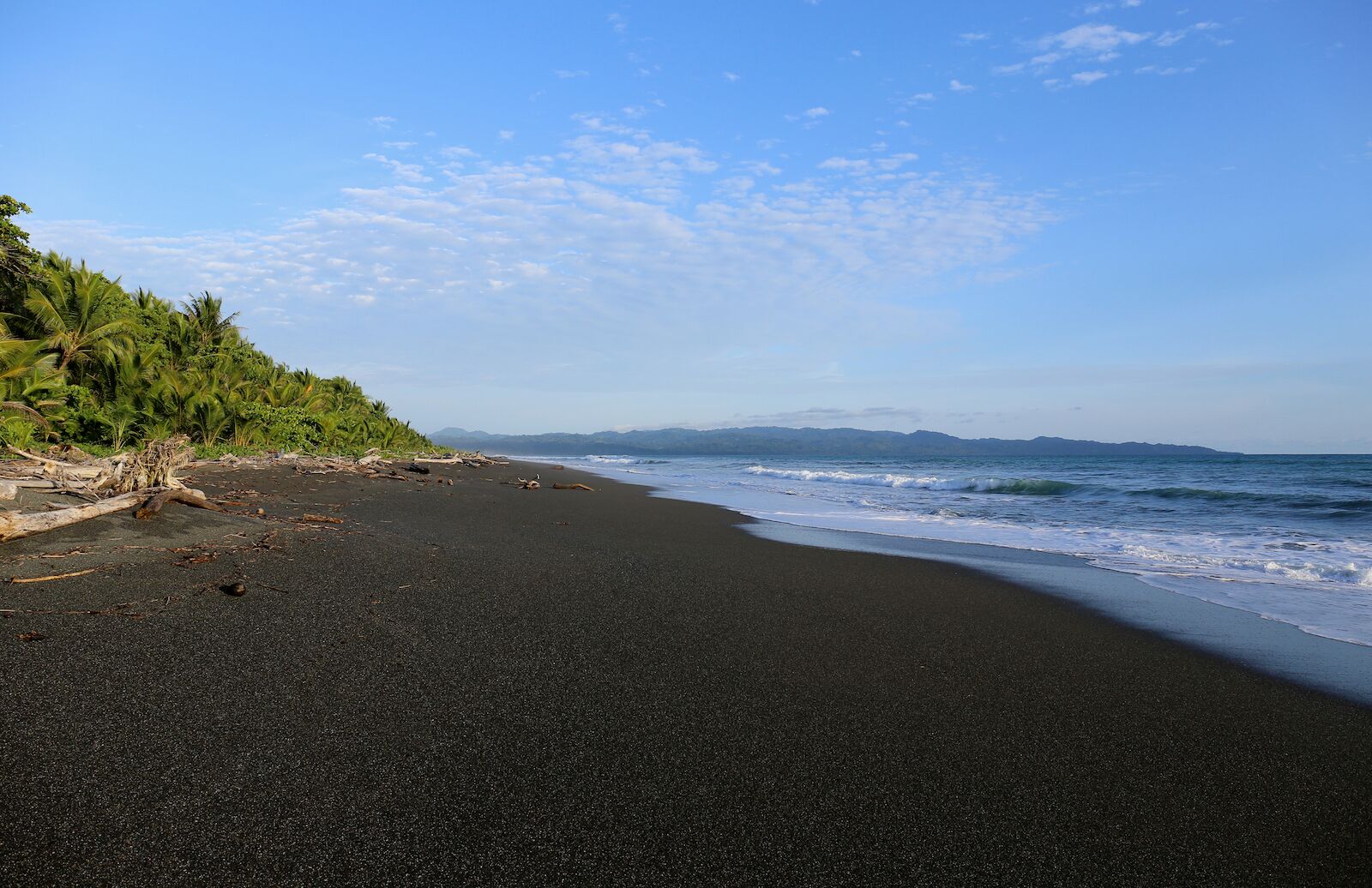 The Most Amazing Black Sand Beaches In Costa Rica Laptrinhx News