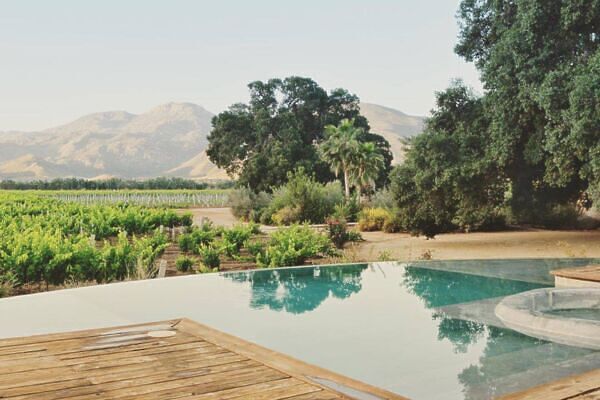How to Visit the Valle de Guadalupe Wineries