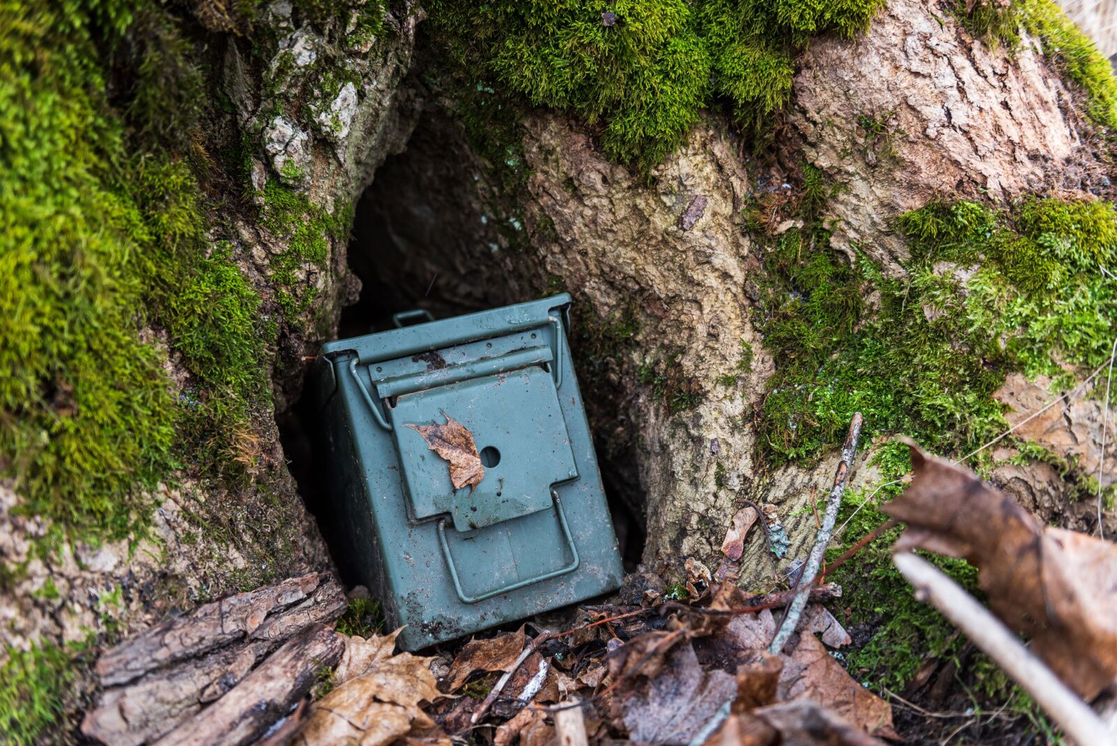 green cache box - hiking terms 