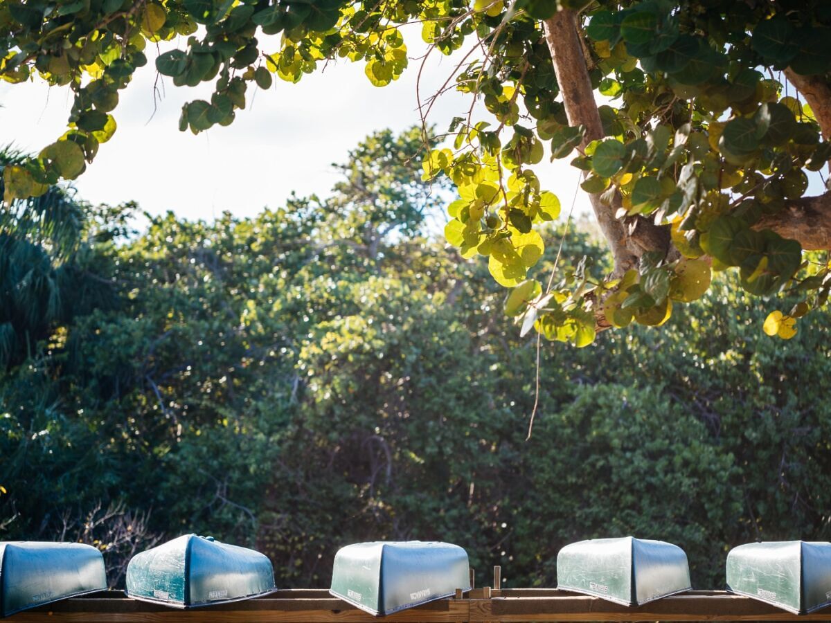 The 10 Best Places to Go Kayaking in Fort Lauderdale