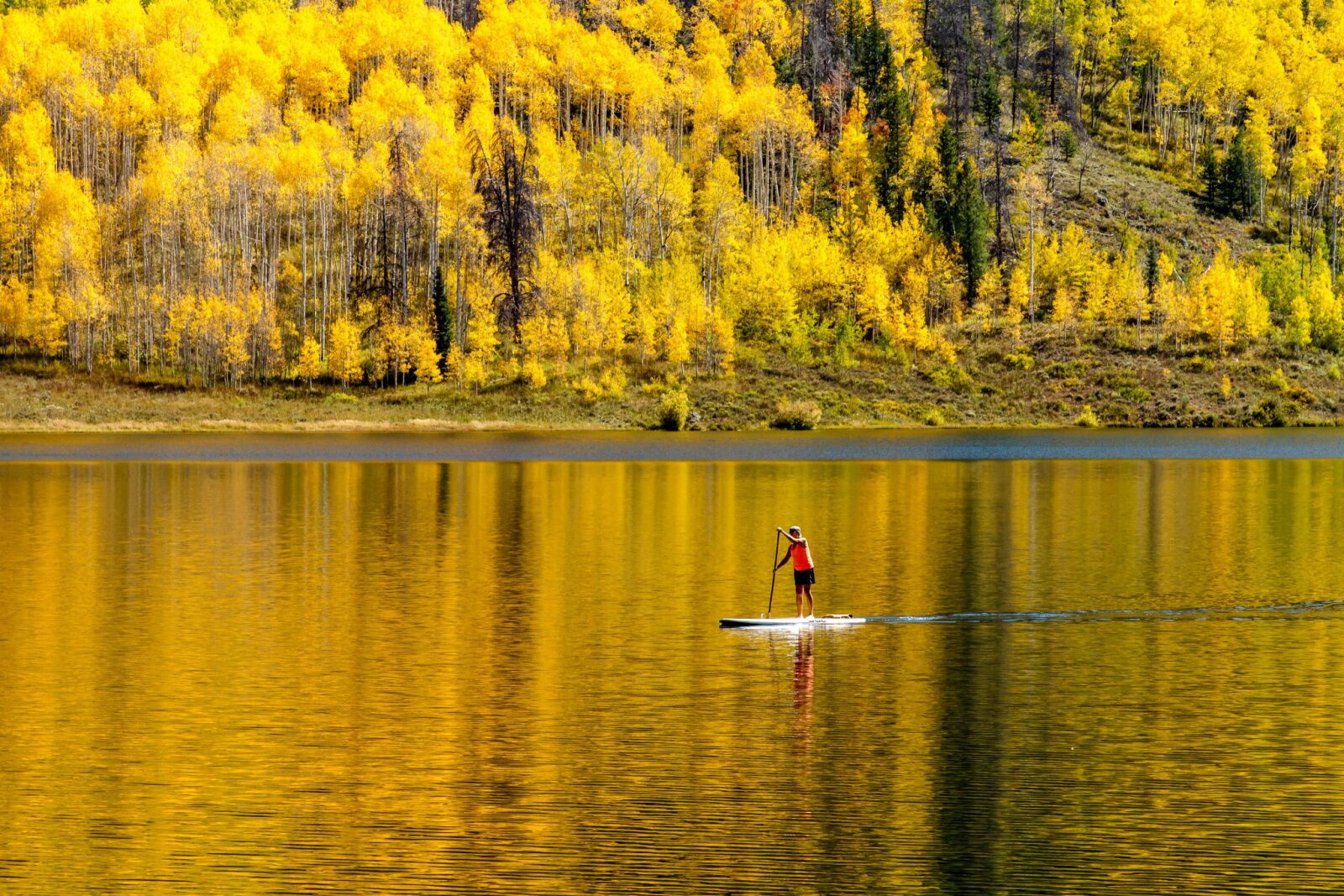 best state parks in colorado pearl lake aspens 