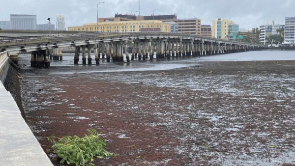 Hurricane Ian Drained The Water Out Of Tampa Bay