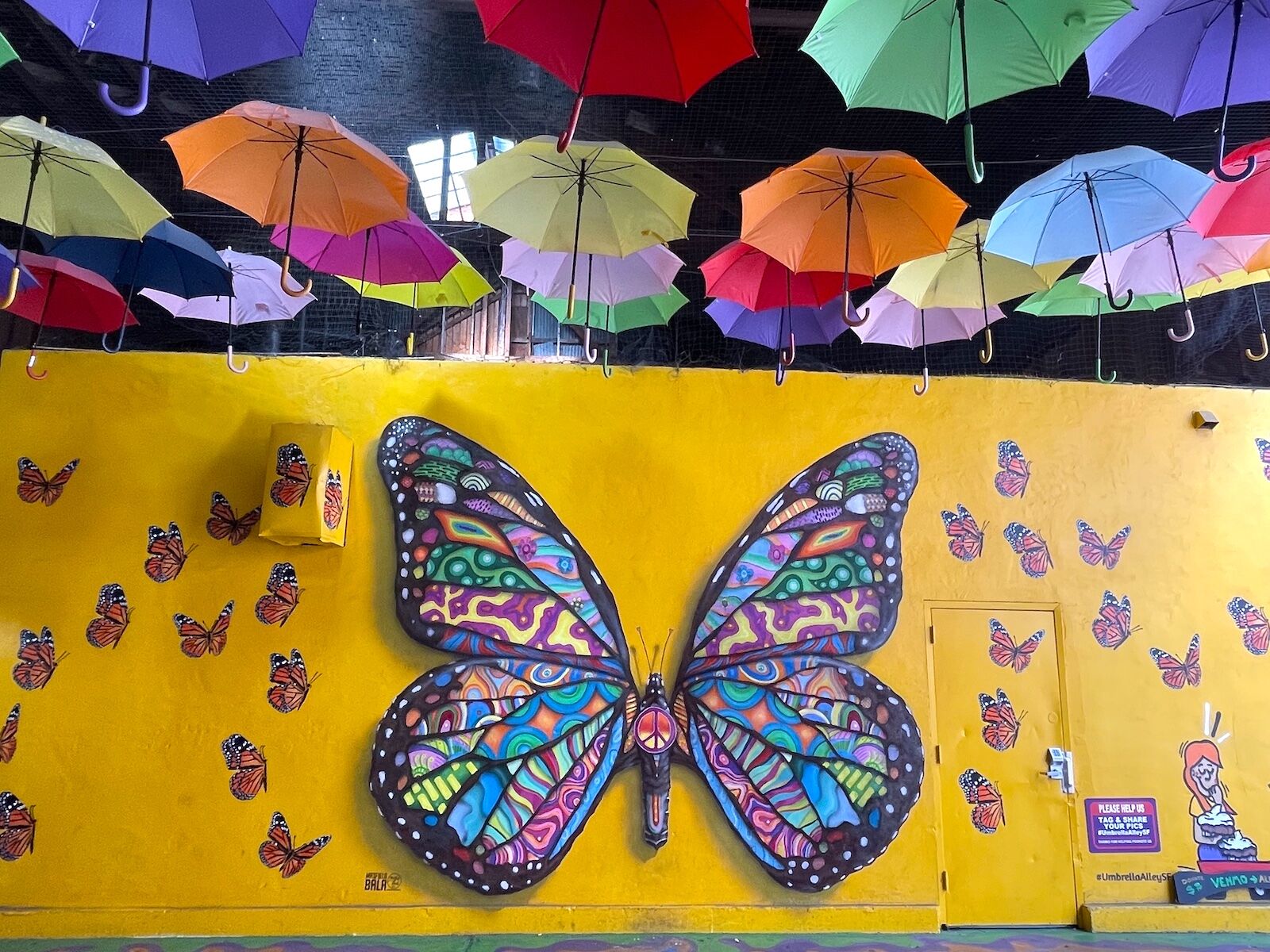 umbrella-alley-summer-of-love-monarch