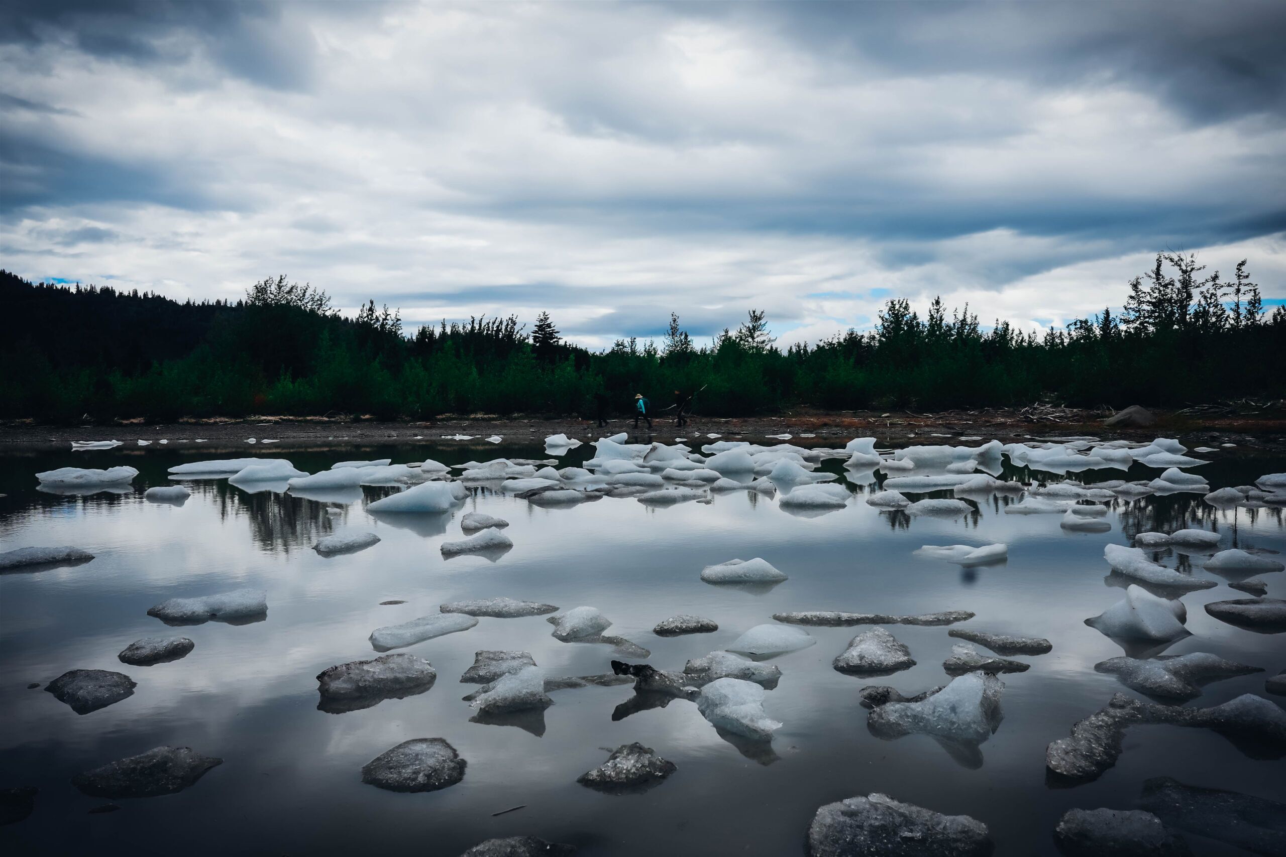 sony a7 iv icebergs