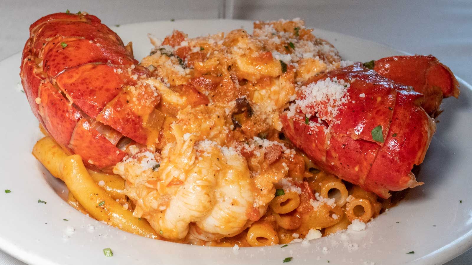 lobster pasta in a white bowl at La Scala, one of the Baltimore Little Italy Italian restaurants