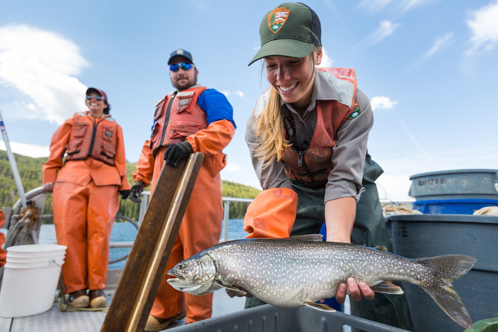 NPS staff fishing during teh summer in yellowstone