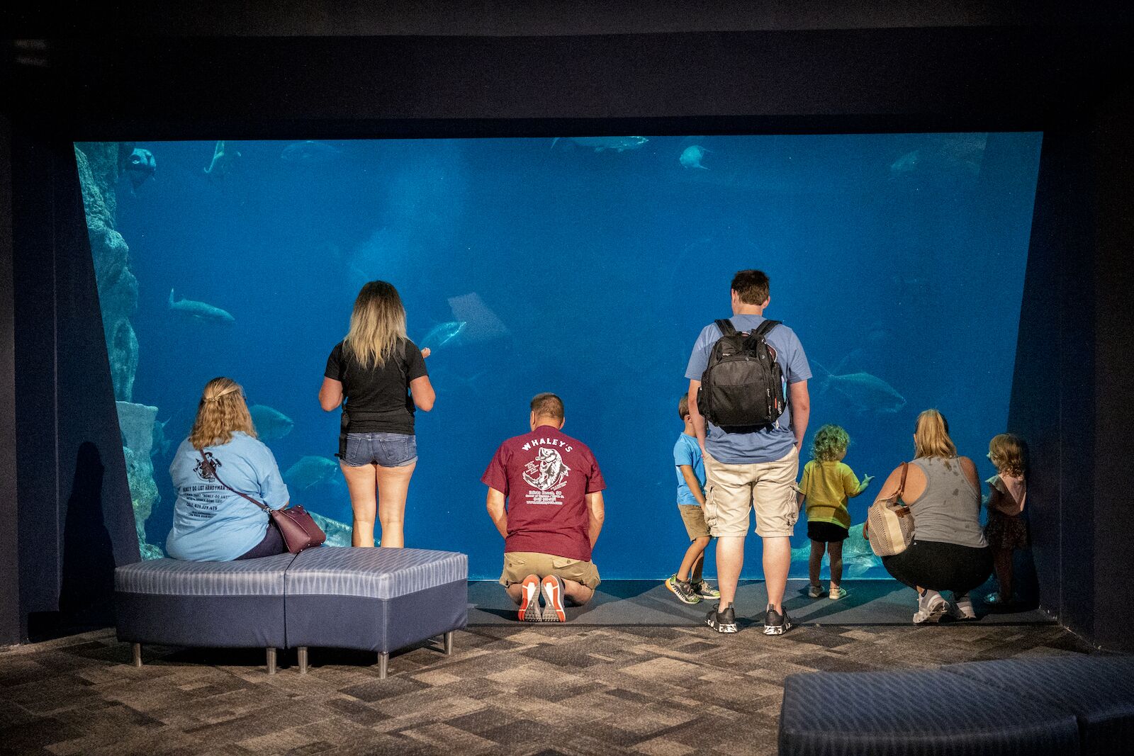 South Carolina Aquarium in Charleston, South Carolina