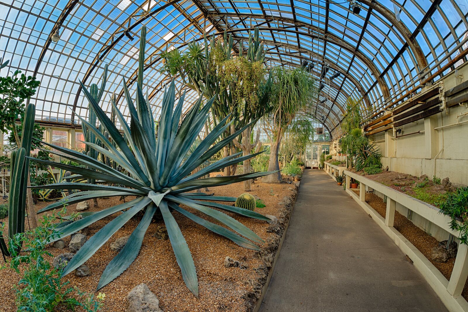 The Garfield Park Conservatory is one of the best things to do in Chicago