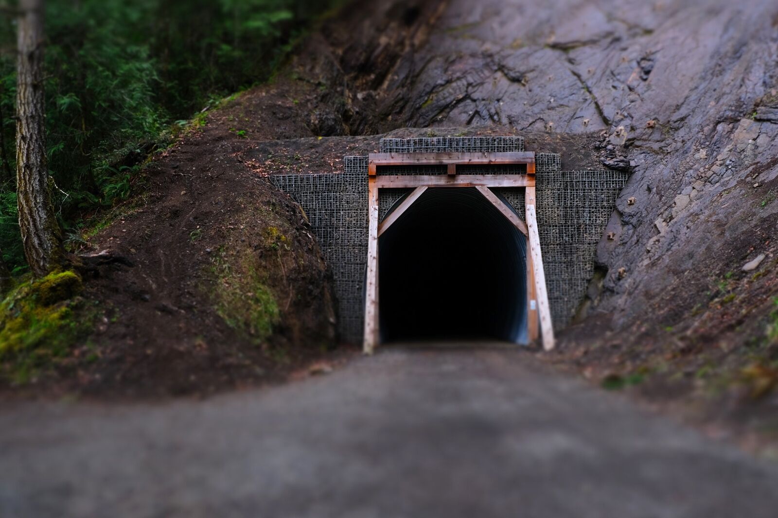 Spruce Railroad Trail one of the haunted trails in national parks