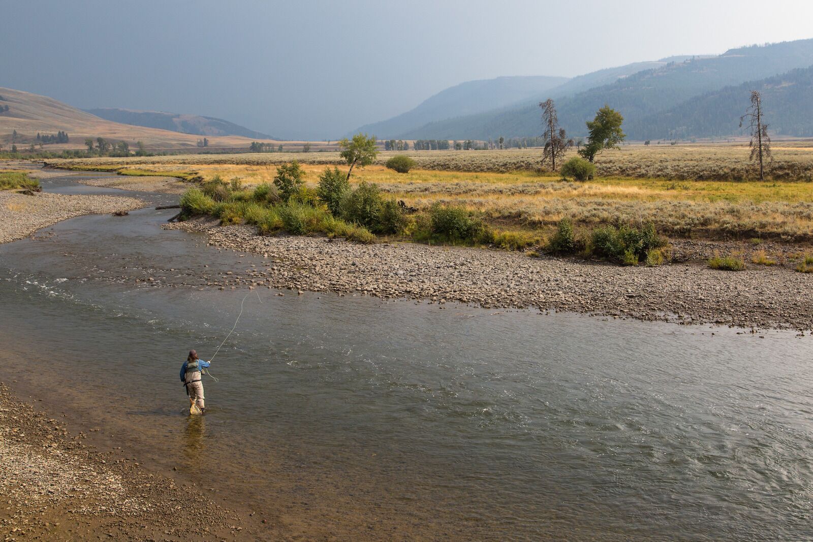fishing best time to visit yellowstone