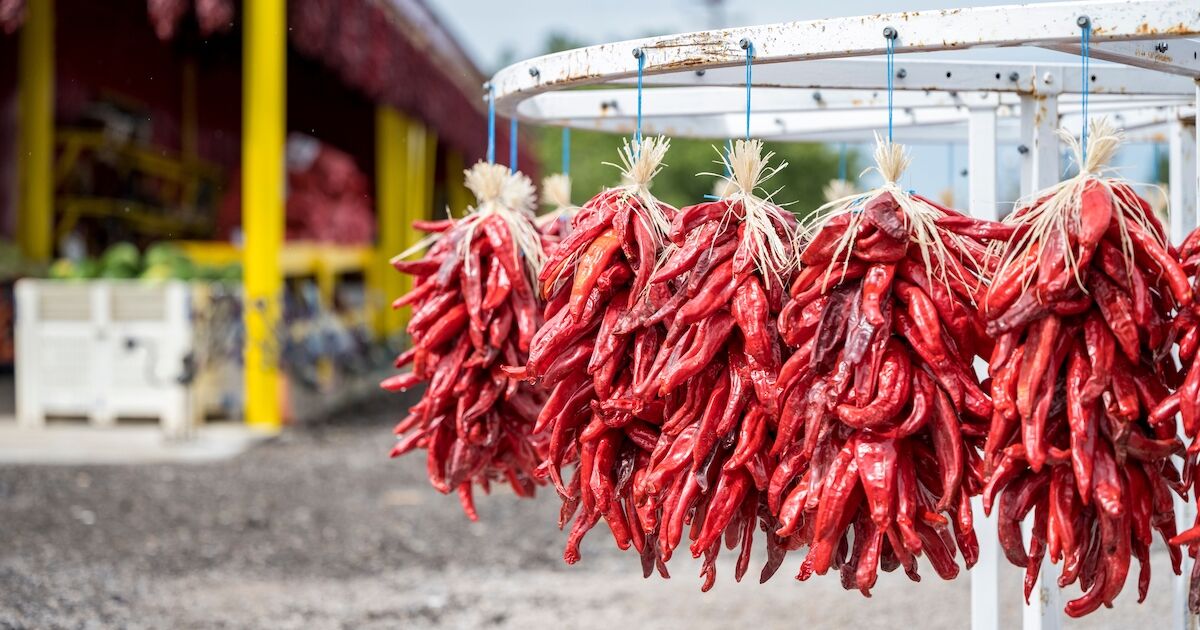 The Best Restaurants and Bars in Albuquerque Right Now