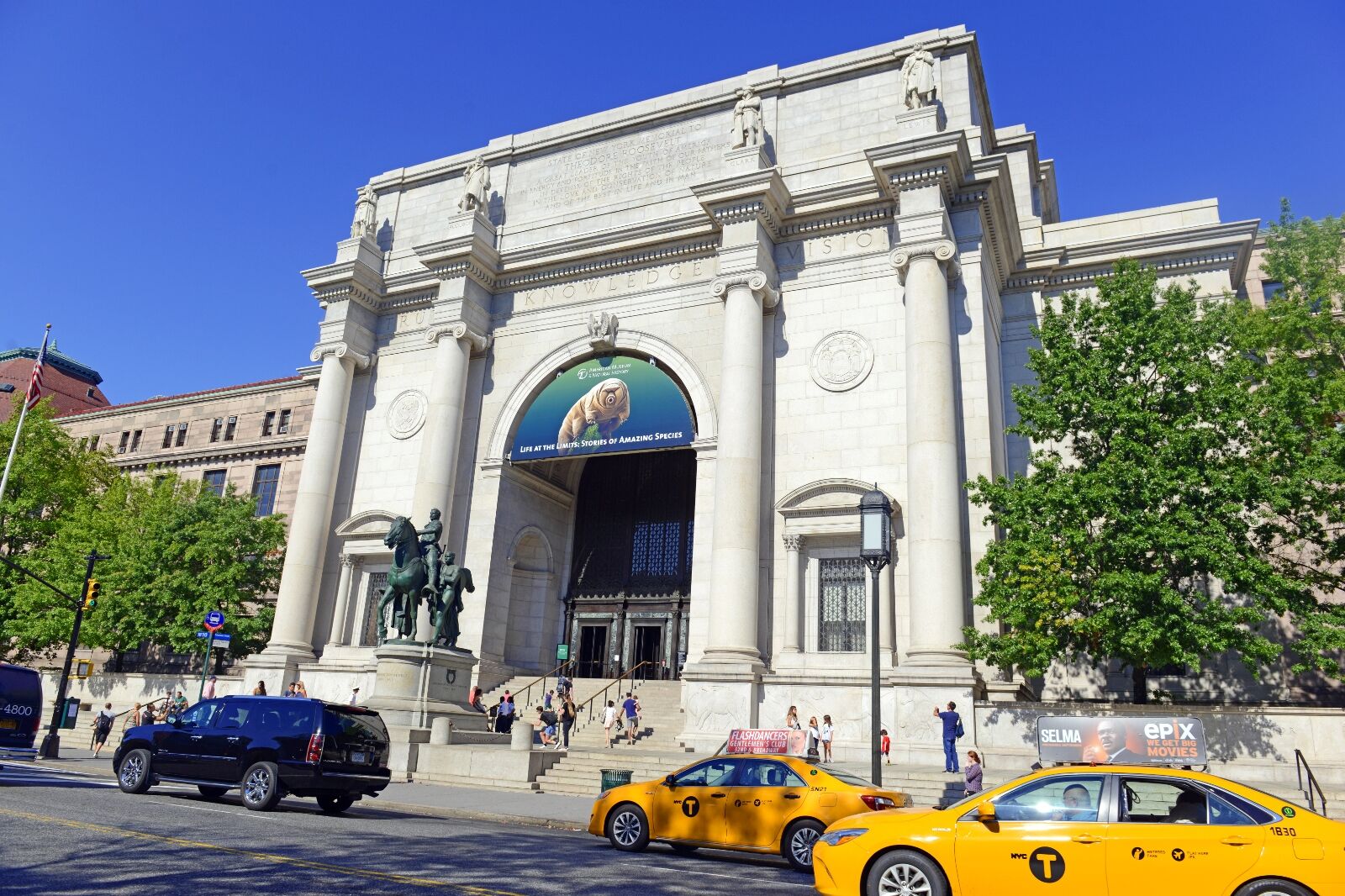 American Museum of Natural History in summer one of the best things to do in nyc