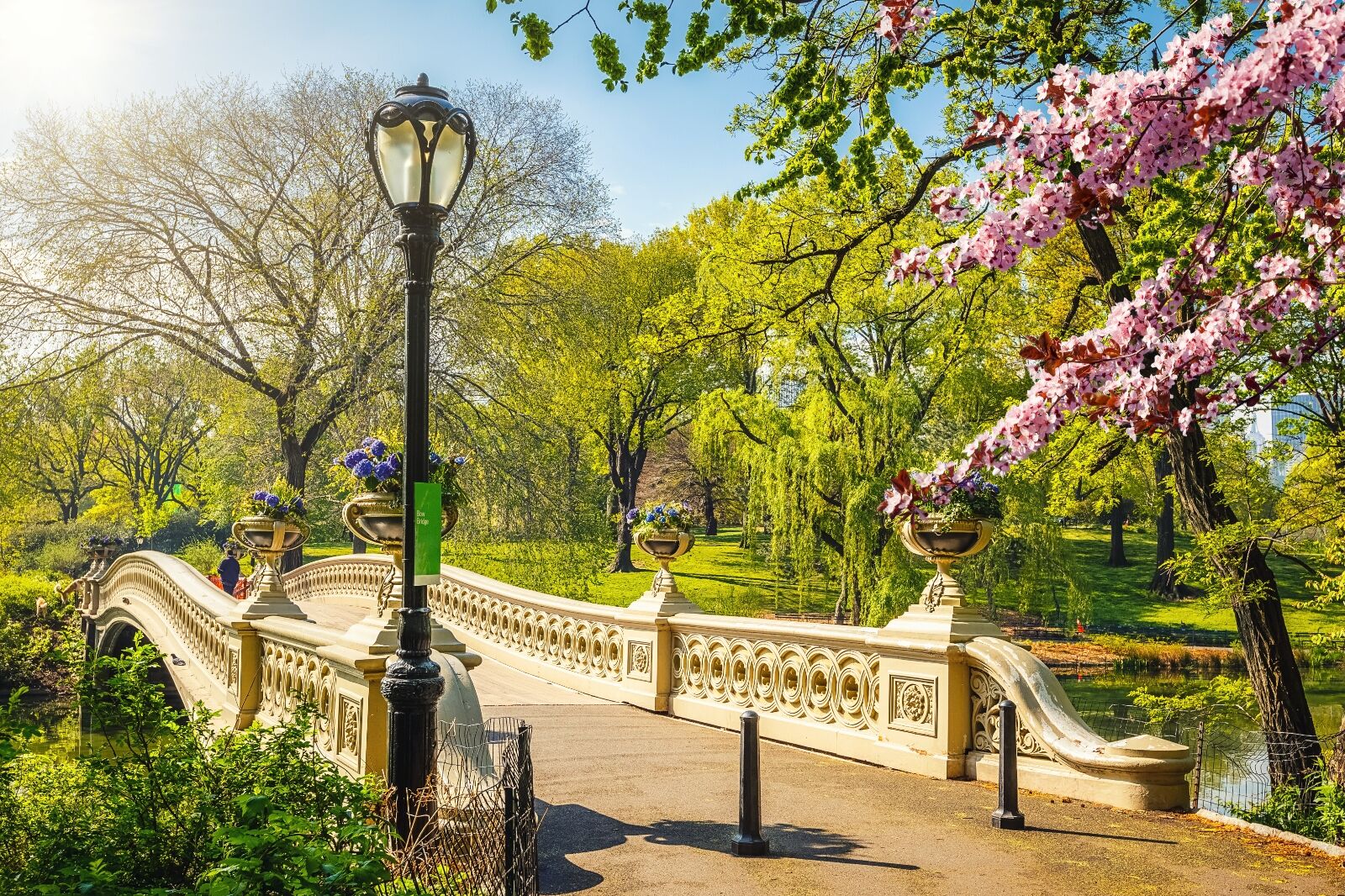 Central Park in spring, one of the best things to do in nyc