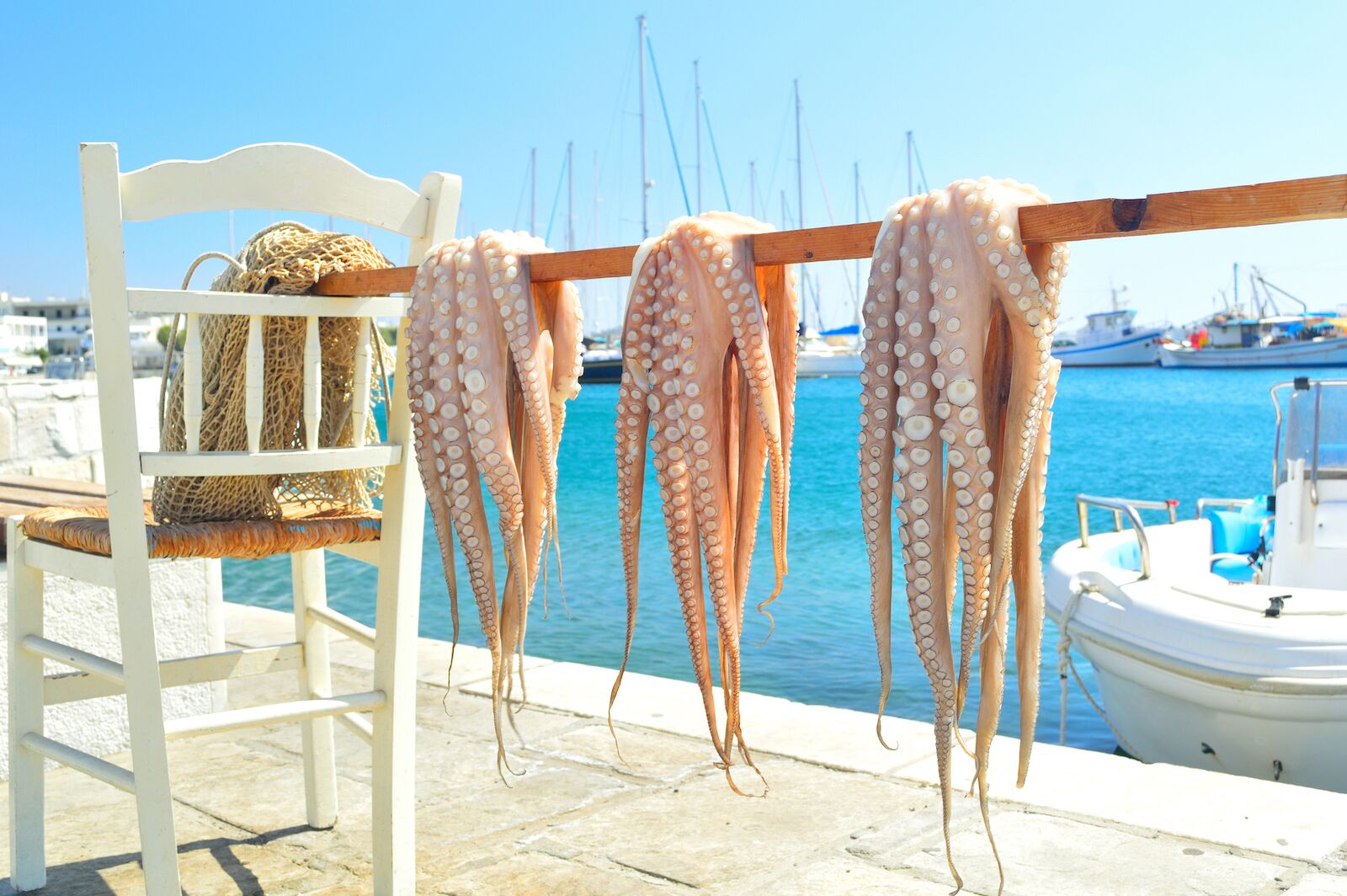 Octopus drying in the sun in Greece