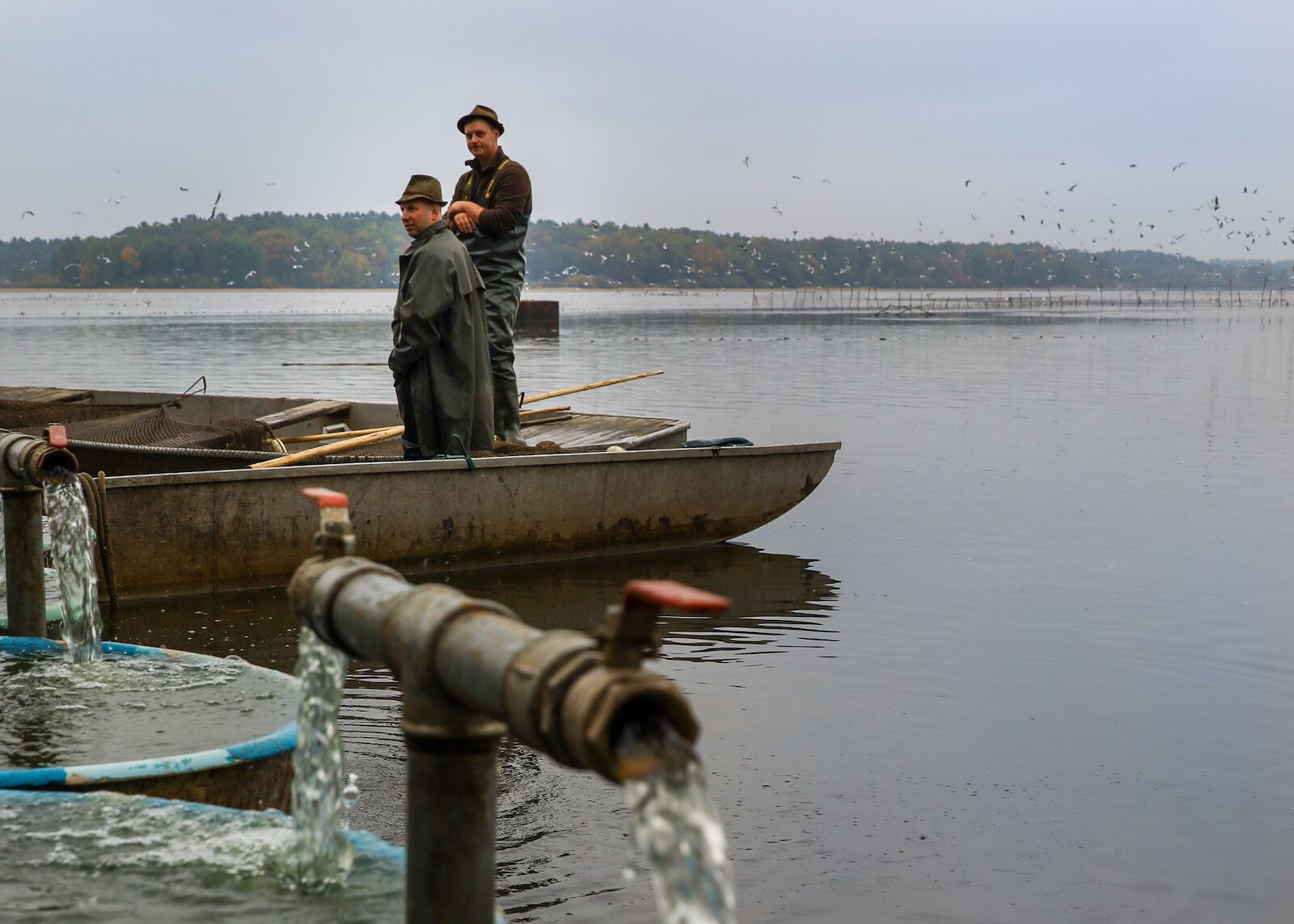 Fishermen standing in a boat in fish pond in Třeboň