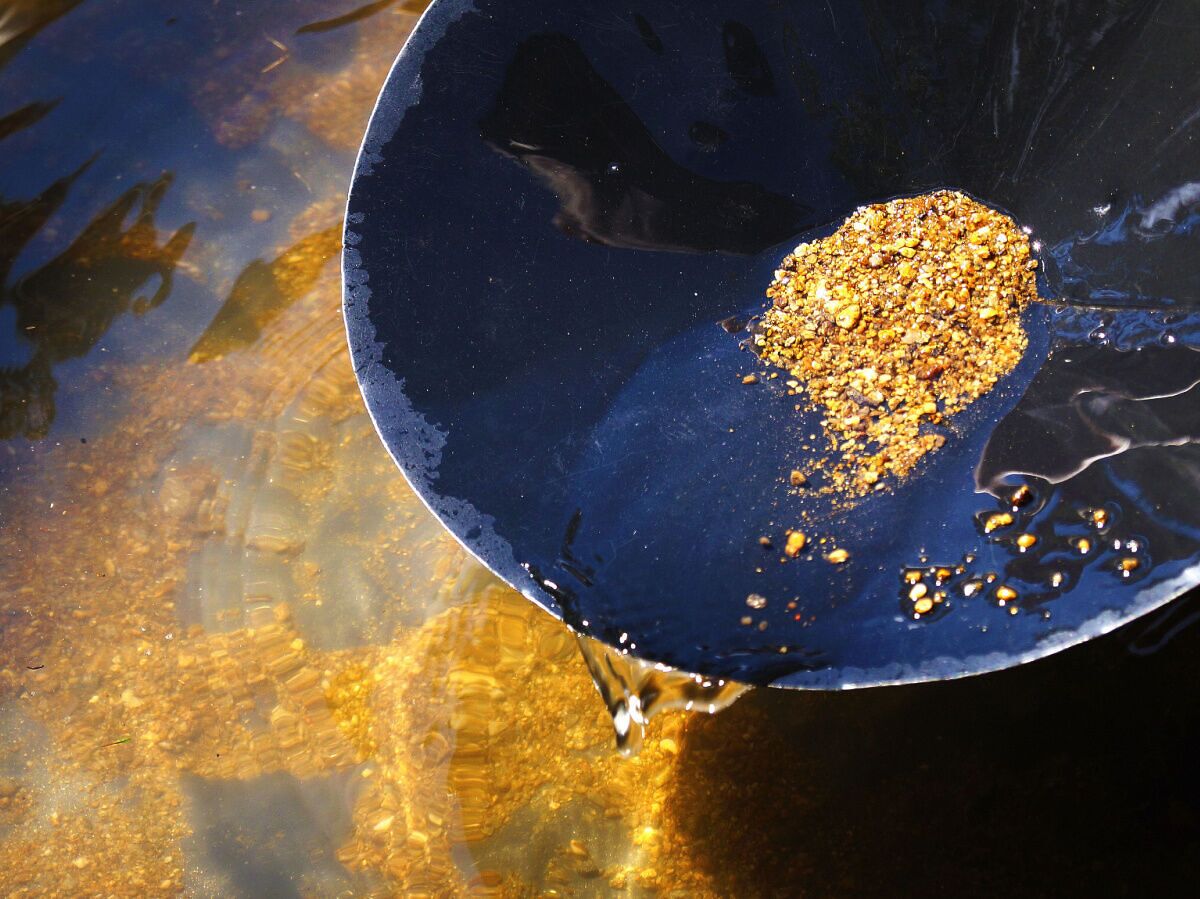 Gold Panning A Creek Running Through A Huge Gold Deposit! 