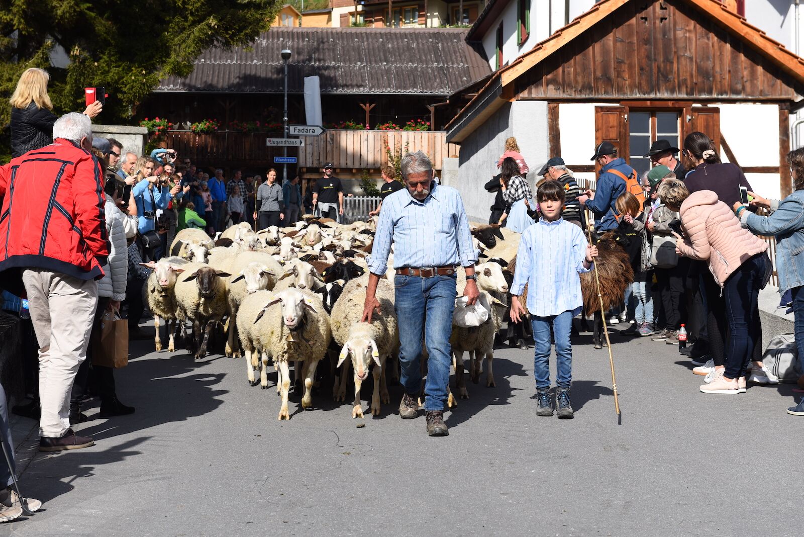 In Switzerland, Cows Parade Down Mountains in Flower Crowns kotrips