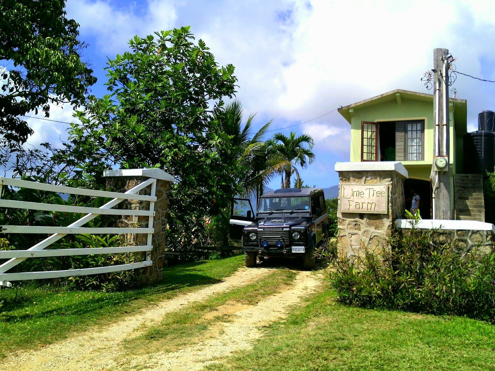 9 Unique Things To Do In The Blue Mountains In Jamaica