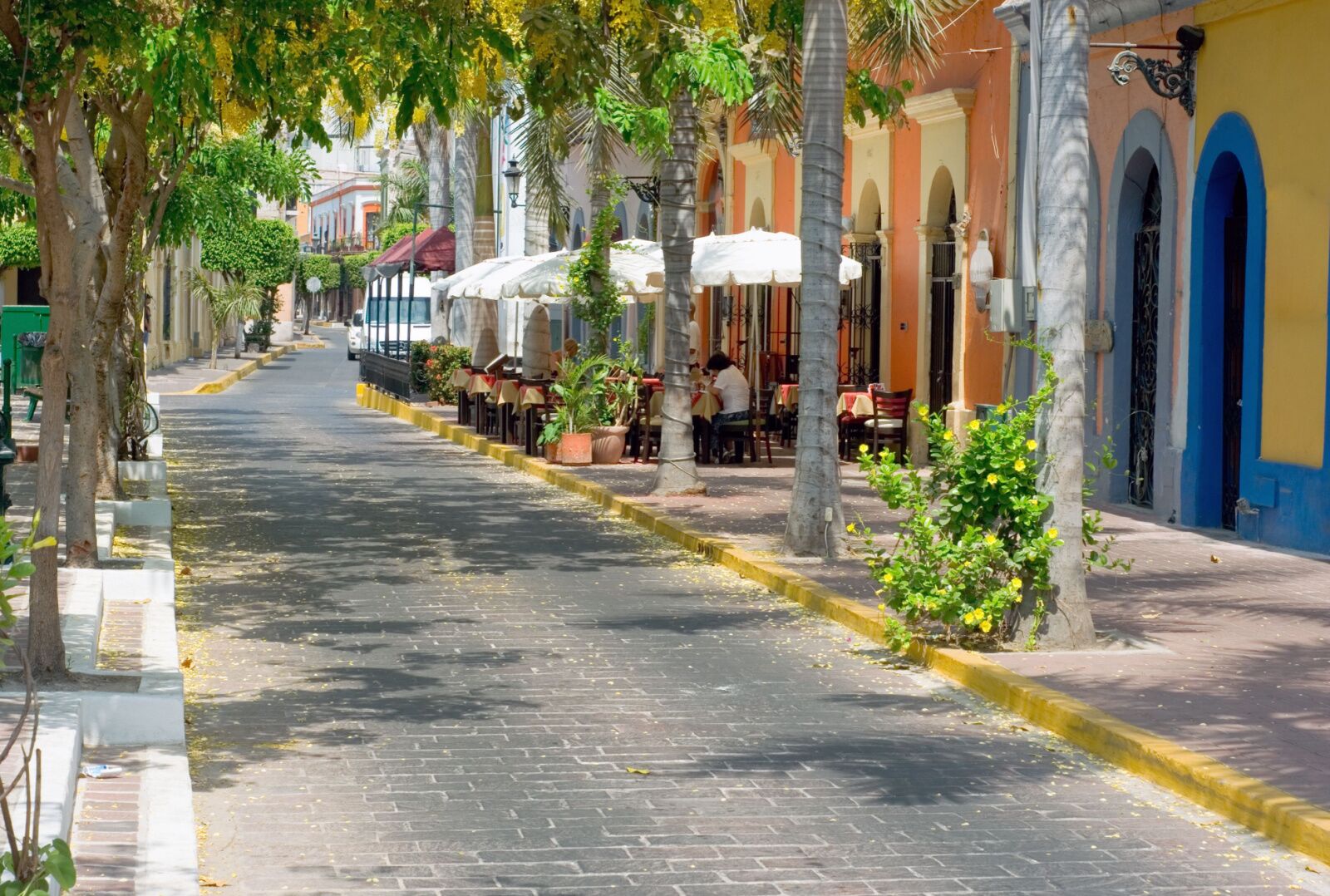 Mazatlan is one of the best places in Mexico for couples - downtown with plants and buildings
