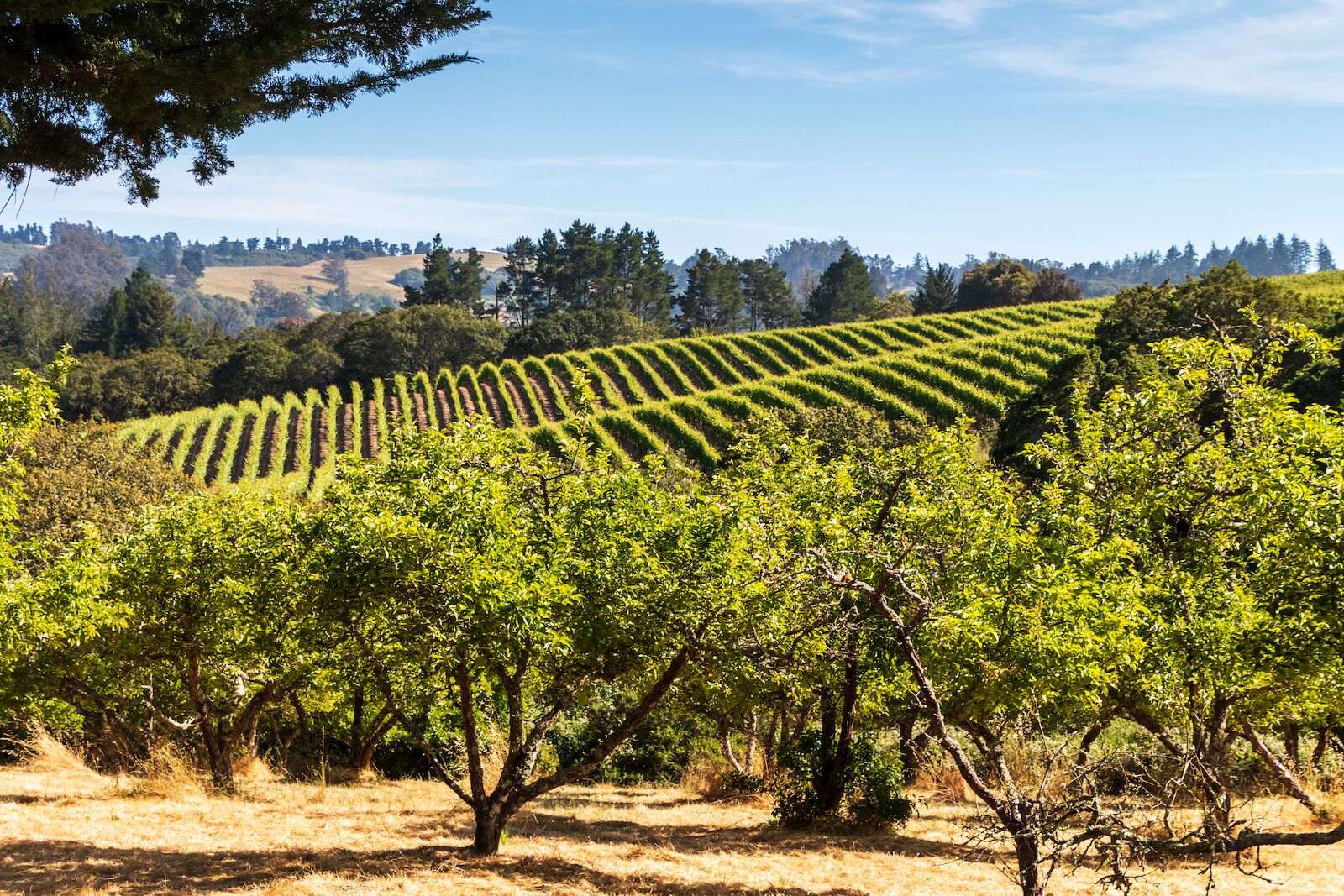 The Best US Small Towns To Visit In 2023