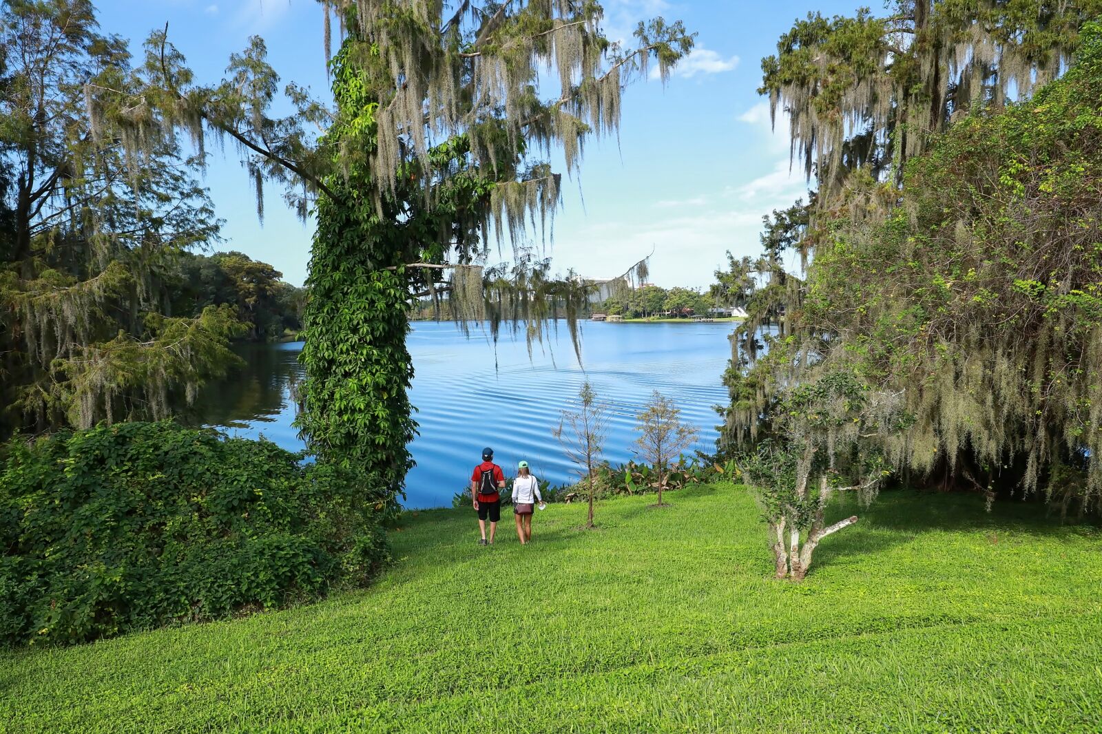 Couple explores Harry P. Leu Gardens one of the best things to do in Orlando 