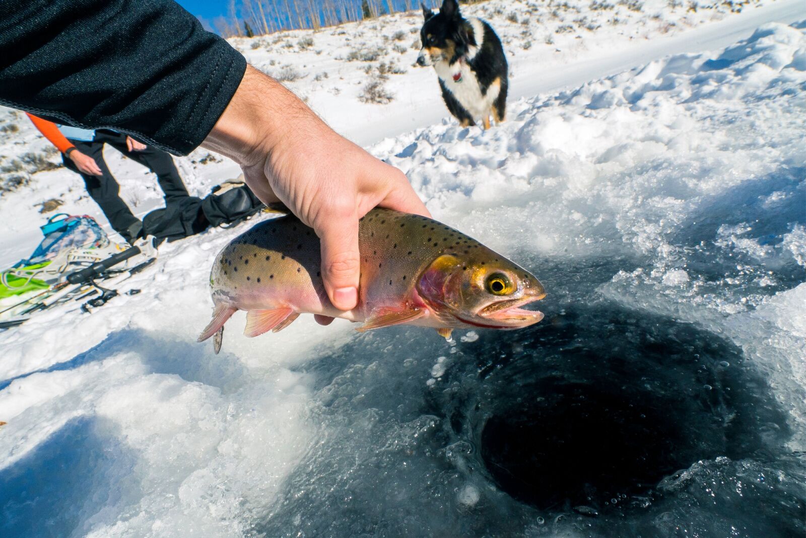 ice fishing at a lake in wyoming, close up of hand 