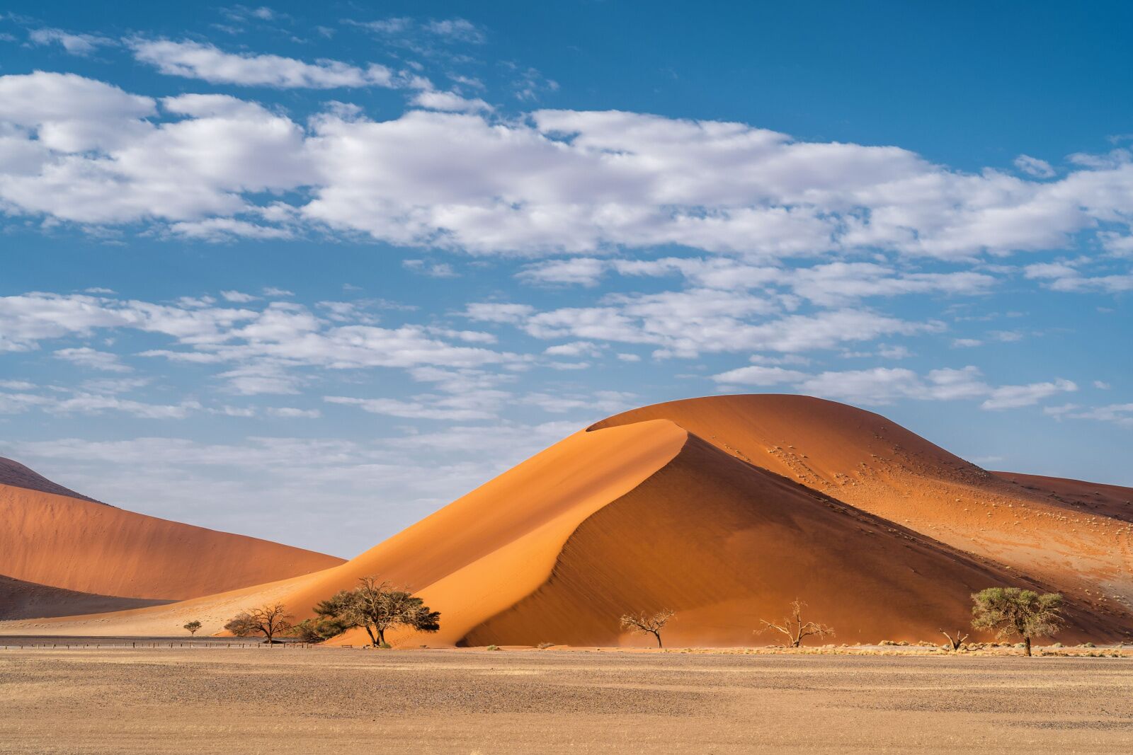 Namib desert dunes of sossusvlei