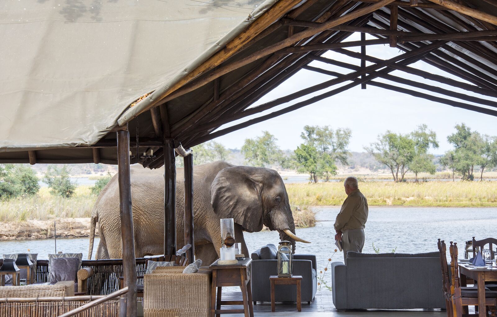 elephants at old mondoro resort