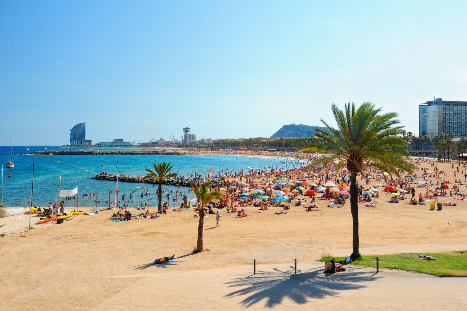 Beach parks in barcelona on a sunny day
