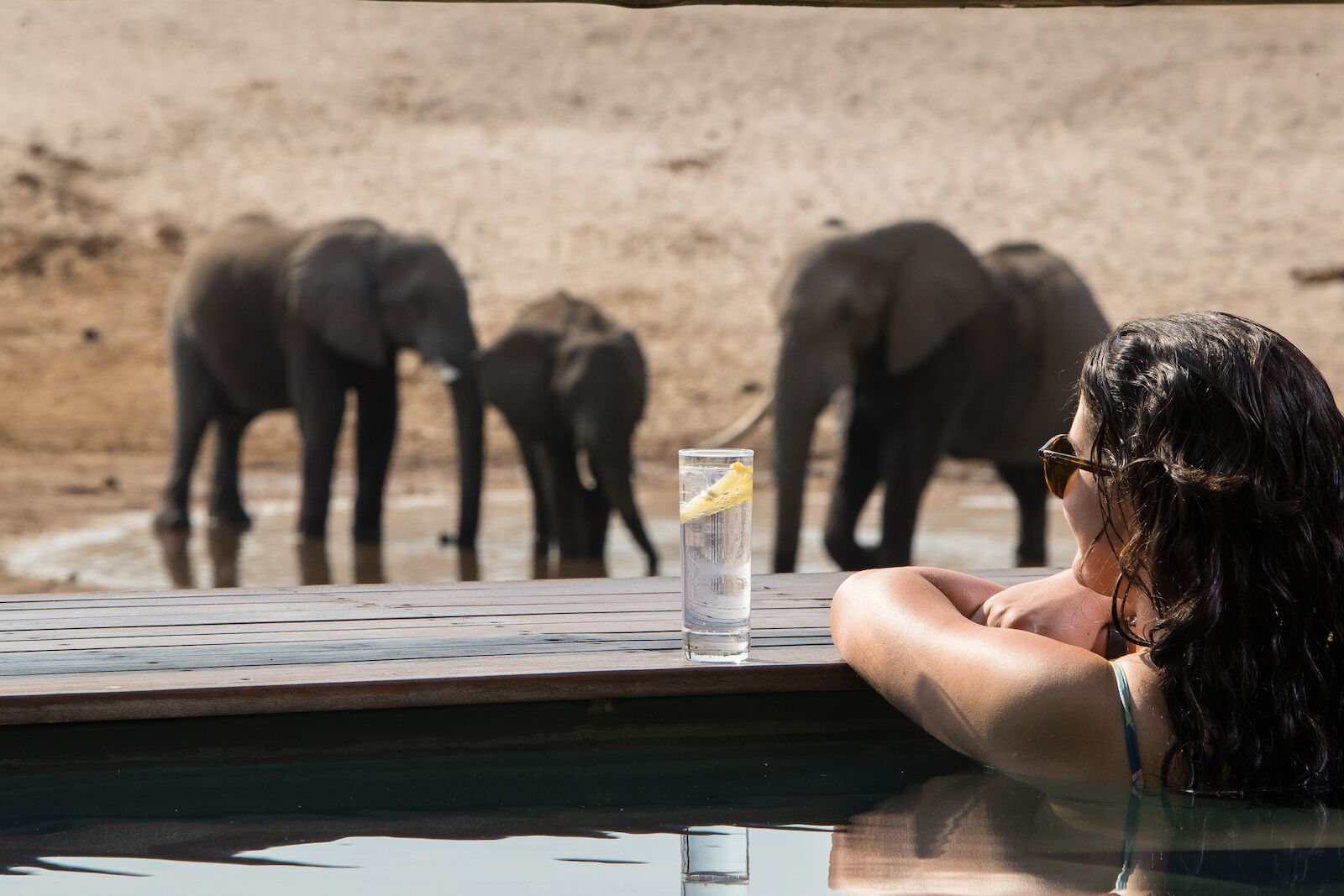 elephant watching at savute safari lodge