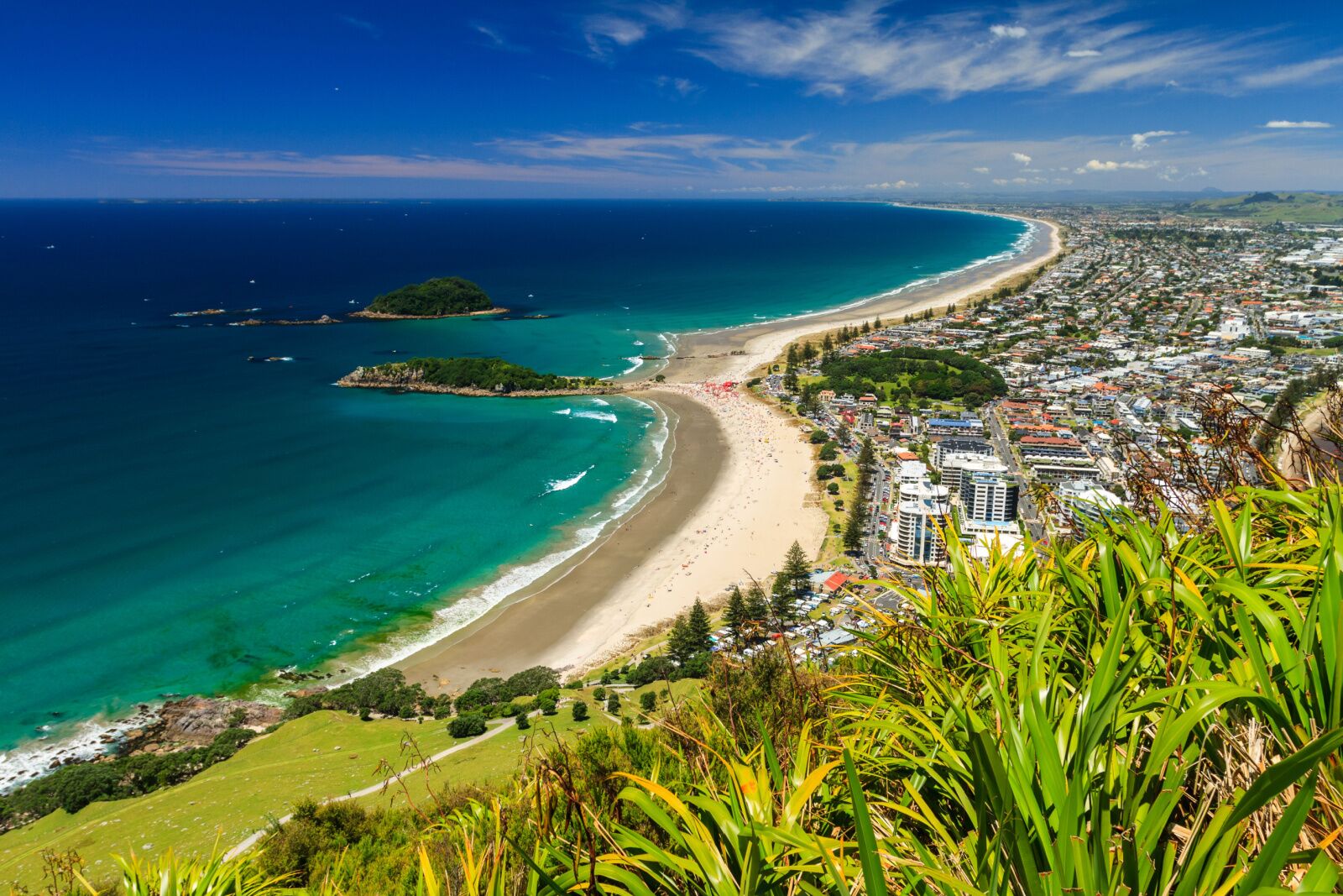 Tauranga new zealand as seen from above 