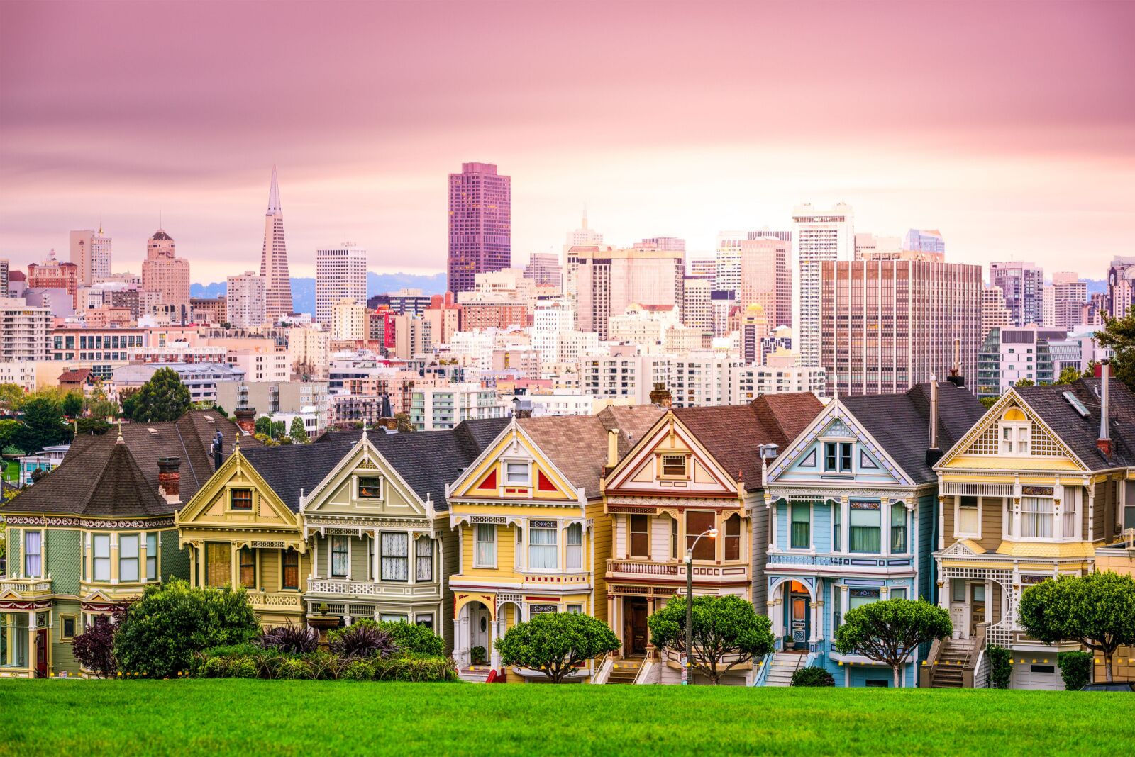 painted ladies near one of the best parks in san francisco