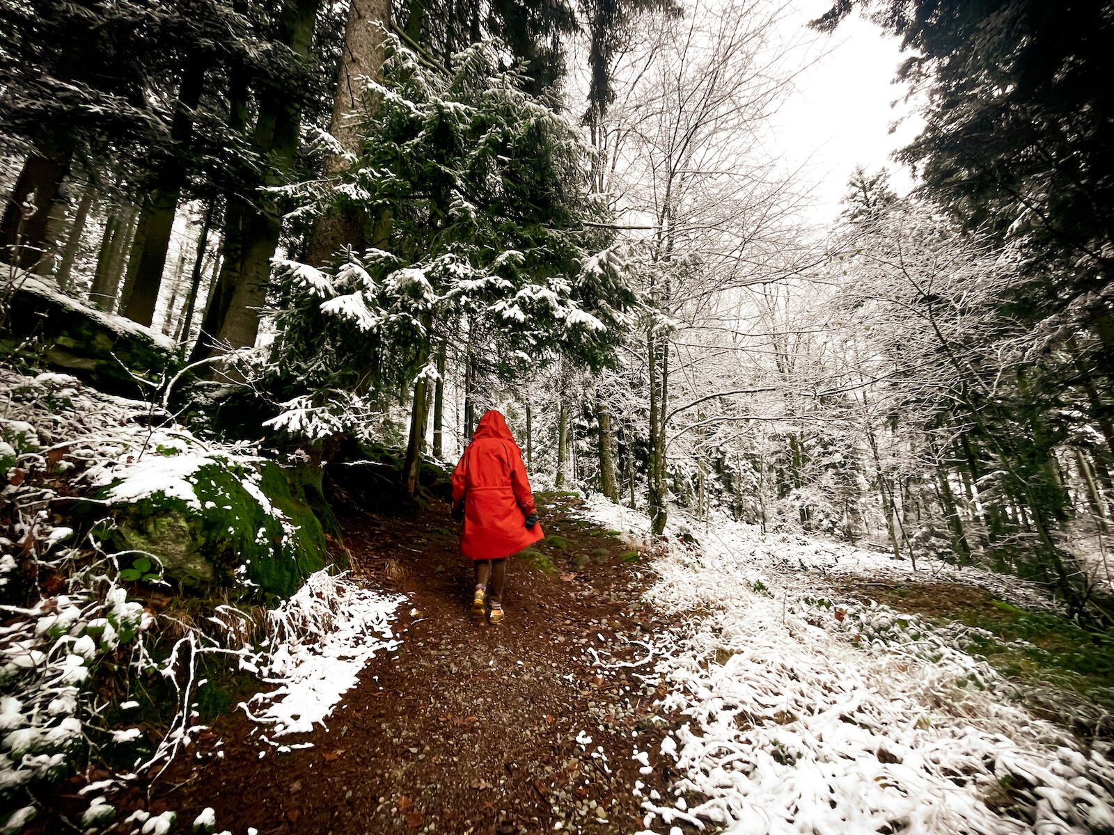 Person in red jacket walking in the bavarian forest