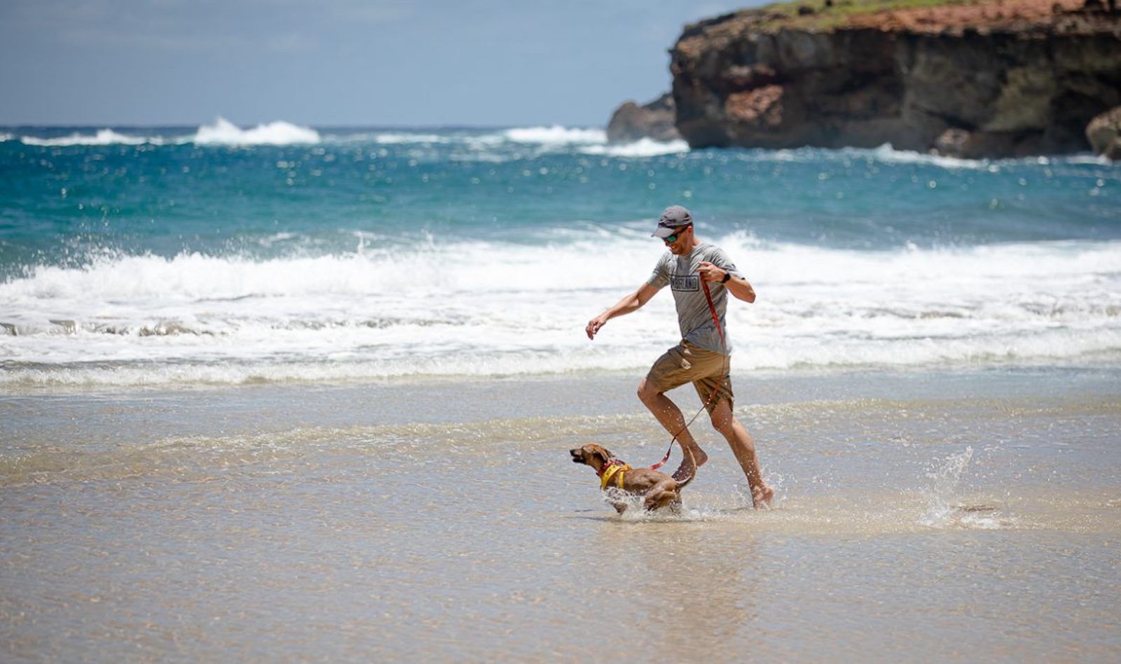 Kauai humane society dog on a doggy field trip at the beach
