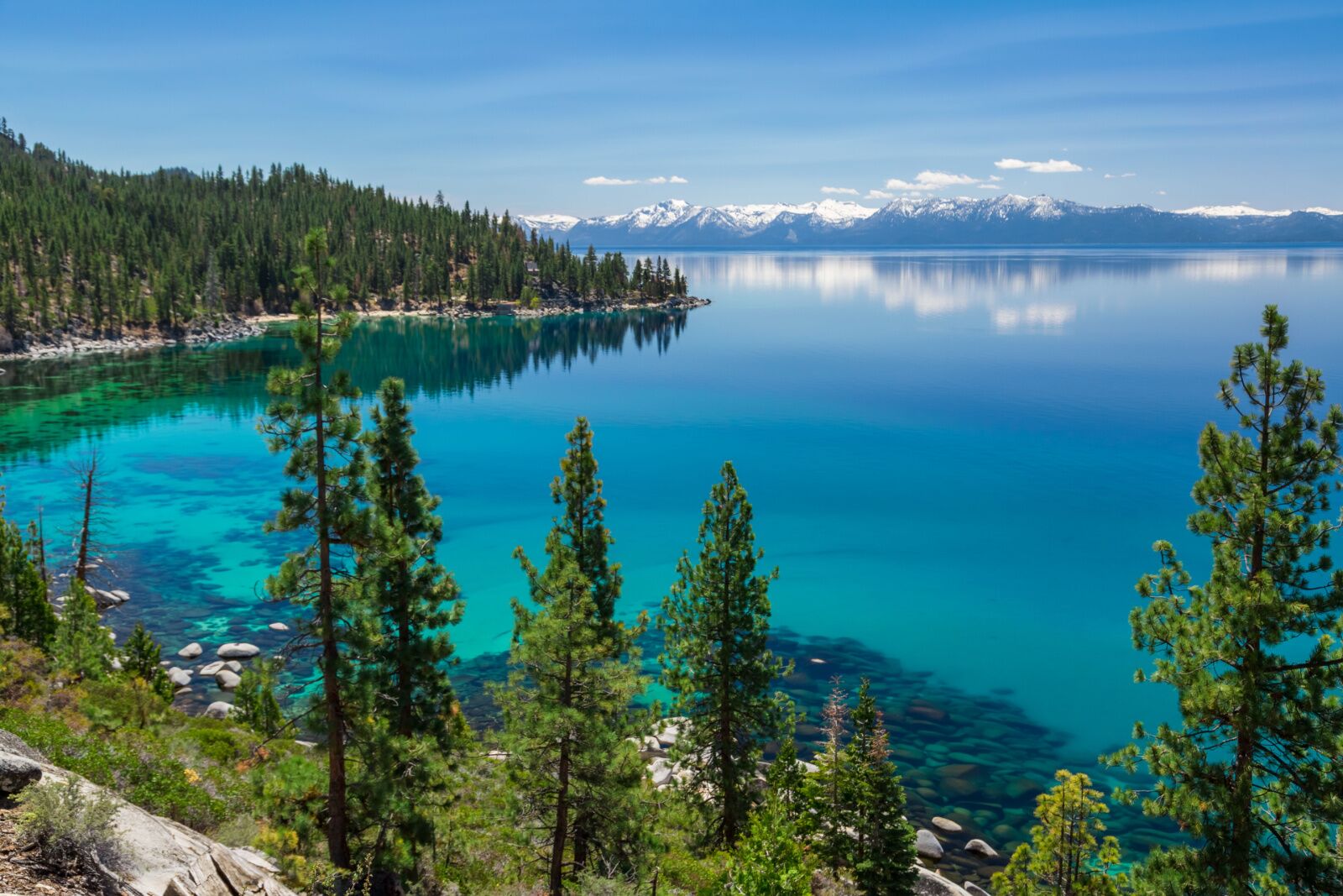 Lake Tahoe in the summer, shoreline with trees. one of the best Reno day trips