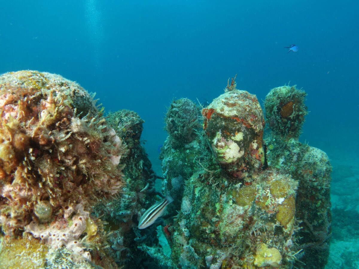 cancun snorkeling underwater statues