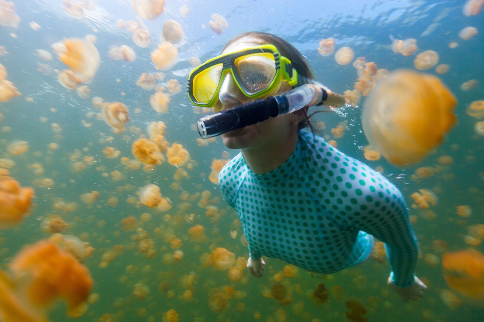 Snorkeler in the water of Jellyfish lake in Palau