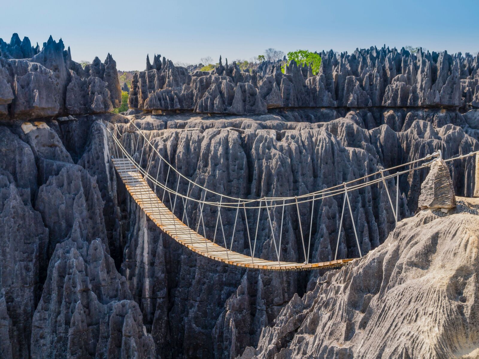 a suspension bridge over Tsingy national park 