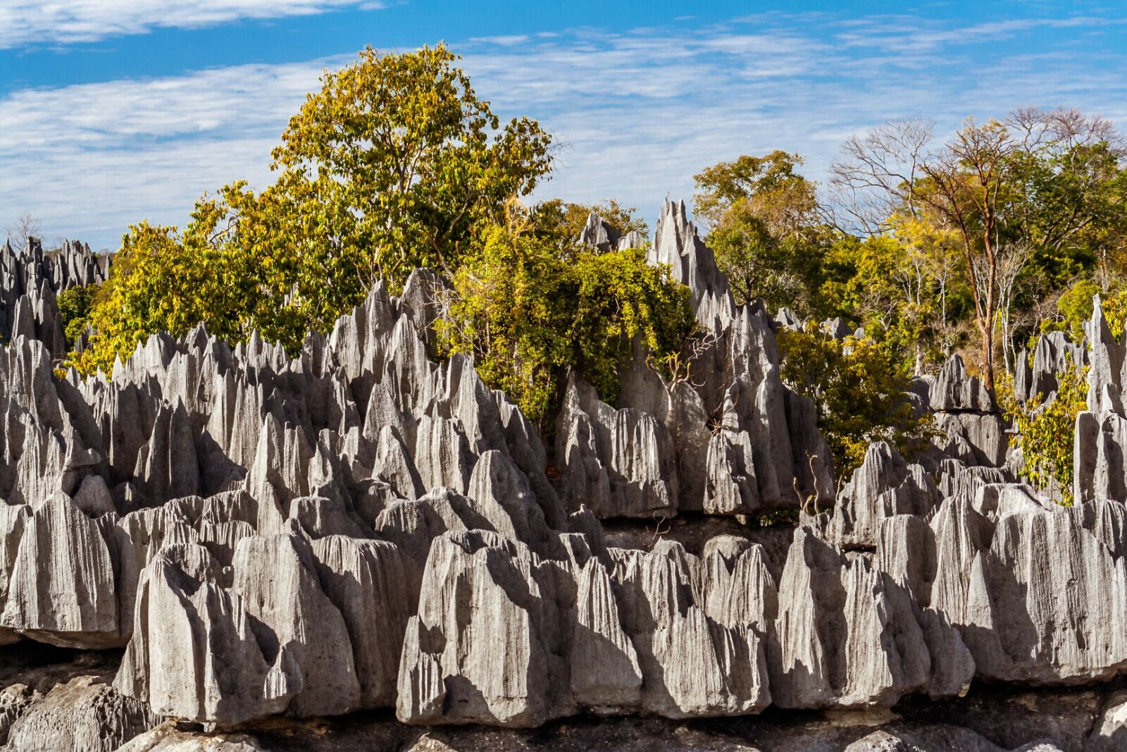 formations in madagascar