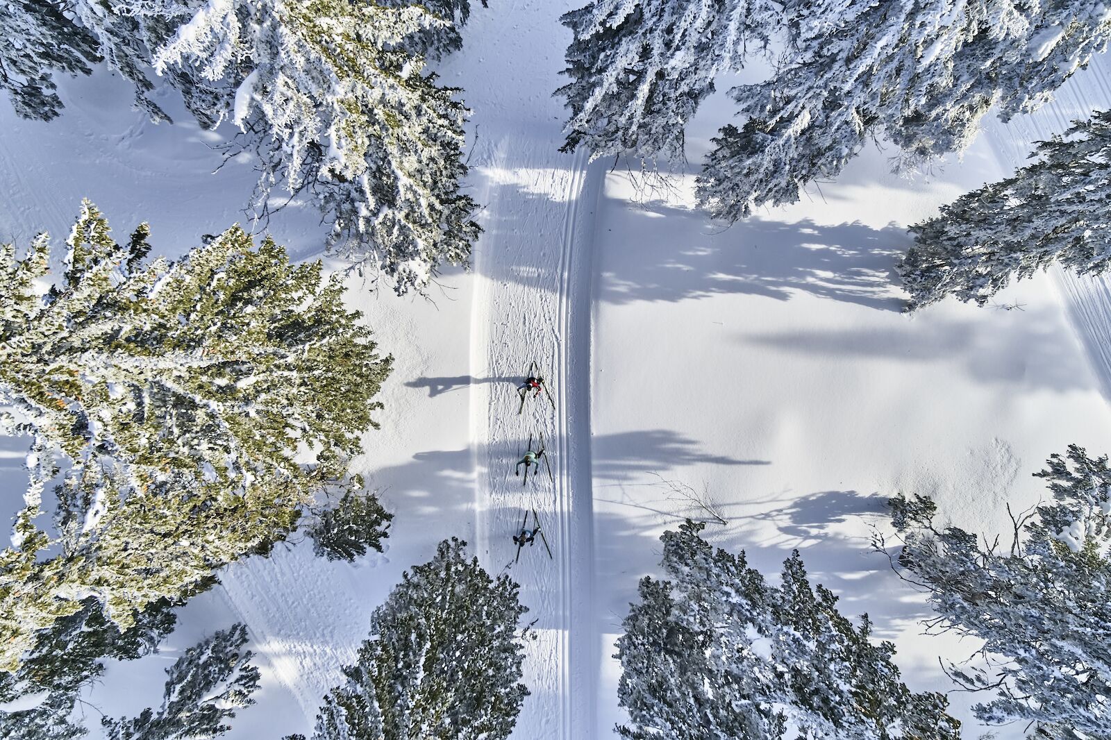 Cross country skiing in the bavarian forest as shown from above