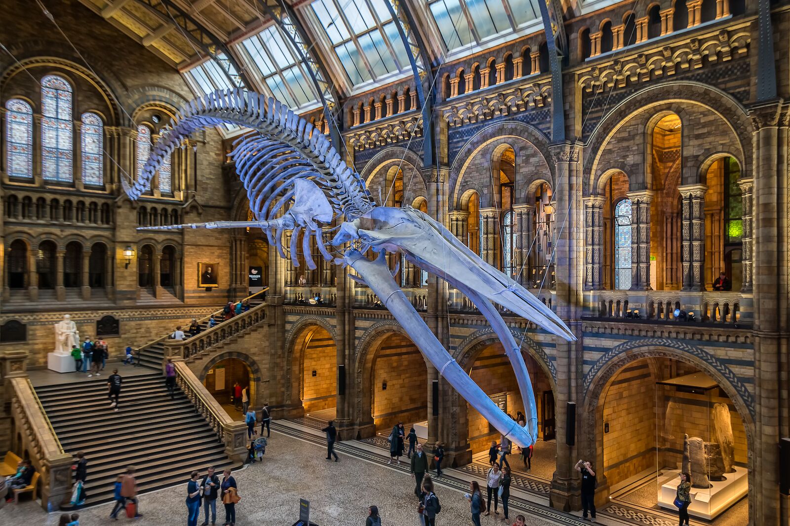 Inside the Natural History Museum in London