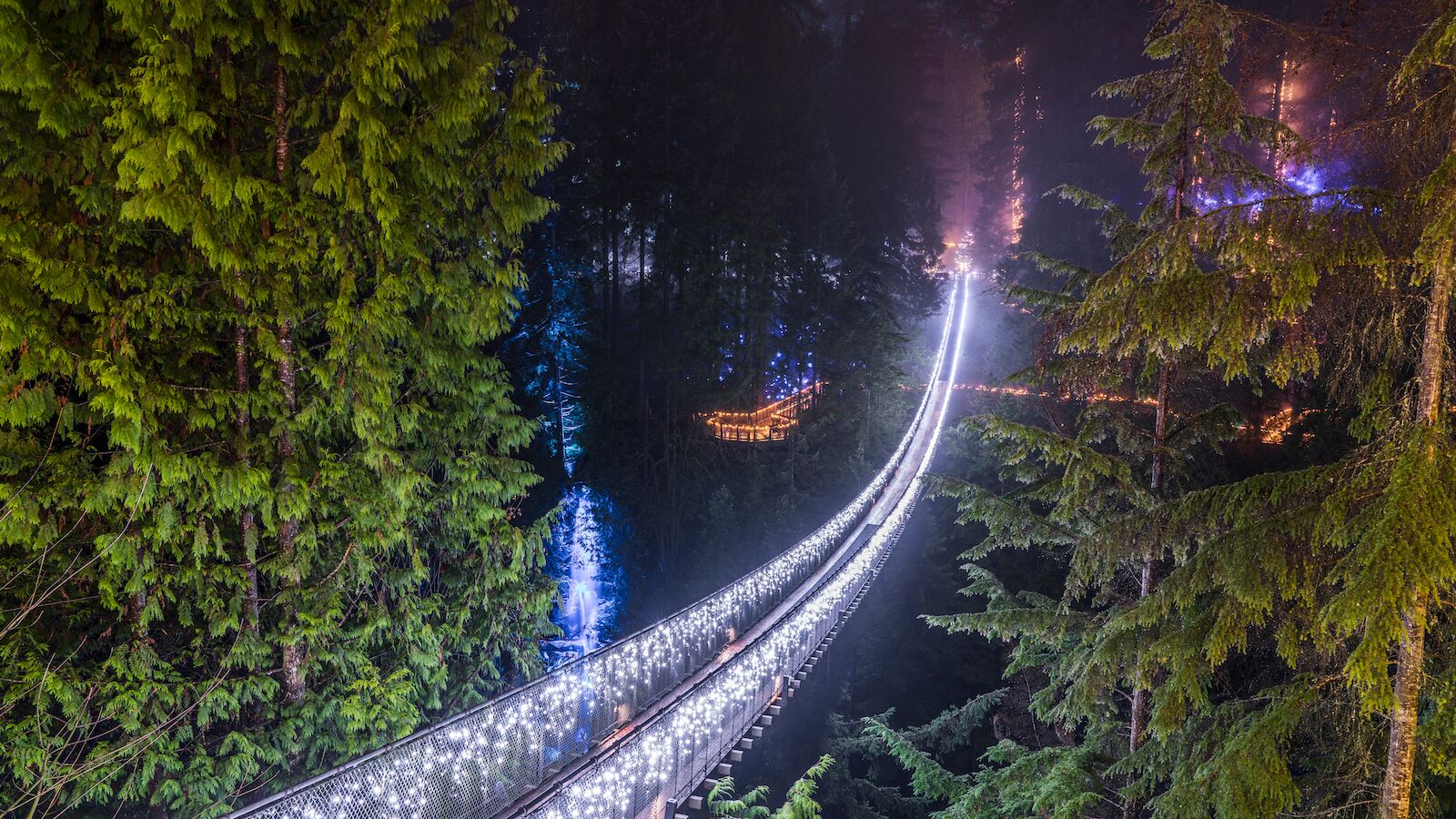 Capilano Suspension Bridge Lights the Forest Glows for Three Months