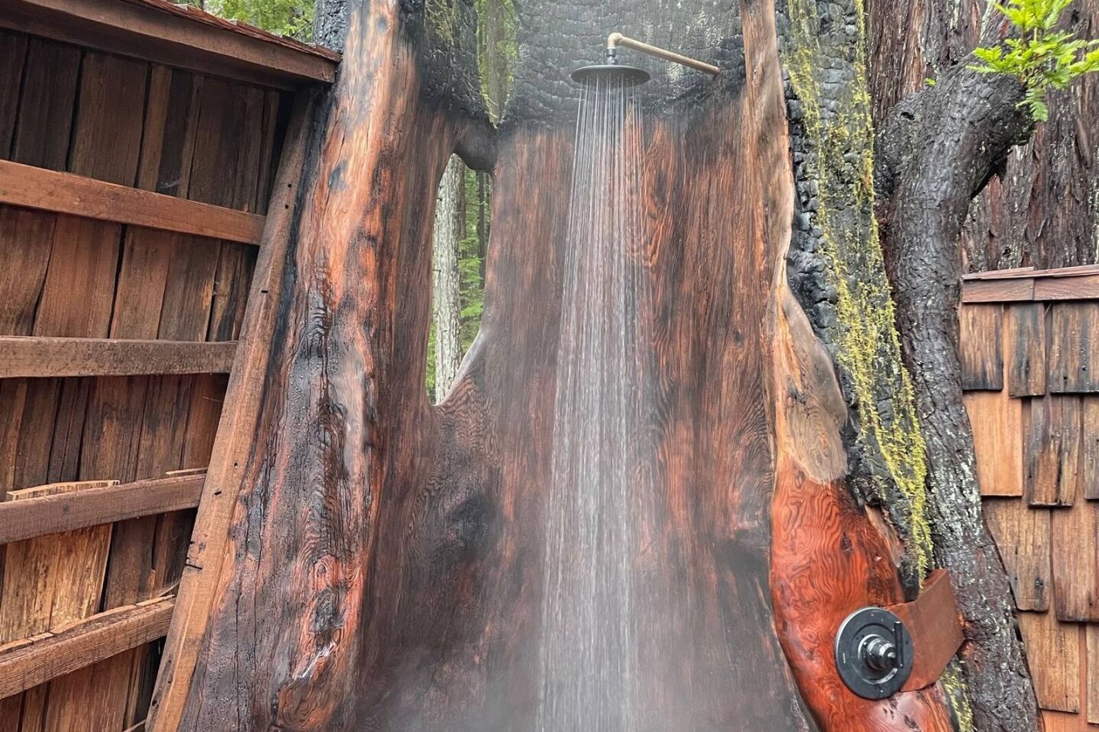 Redwood shower at Heartwood Mendocino