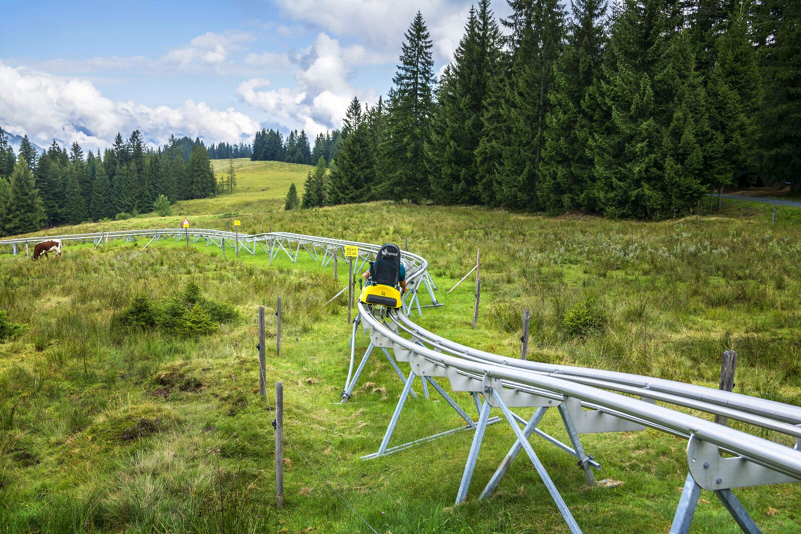 An Adrenaline-Pumping Adventure Awaits at Serlesbahnen Mieders Alpine Coaster