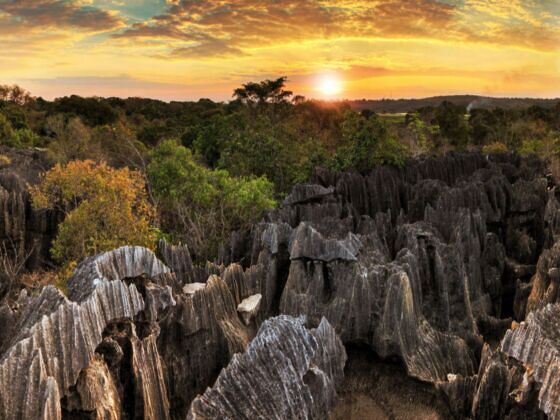 Western Madagascar Travel Guide, What to do in Western Madagascar
